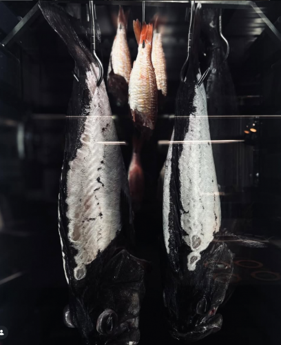 Capture d’écran 2026-03-04 à 10.58.36.png