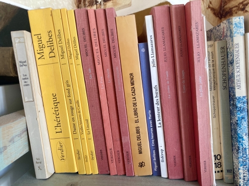 relire delibes
