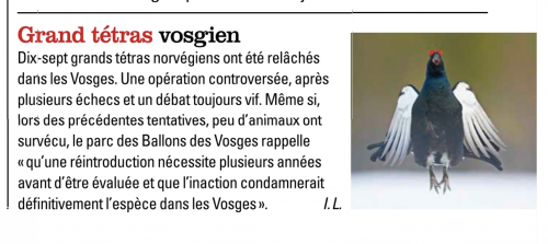 Capture d’écran 2026-07-23 à 10.56.28.png