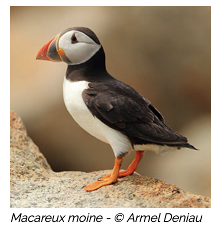 Capture d’écran 2026-02-18 à 12.32.32.png